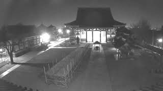 Live webcam: Ikegami Hommon-ji Temple
