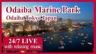 Live webcam: Obaiba Beach