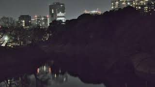 Live webcam: Chidorigafuchi Moat