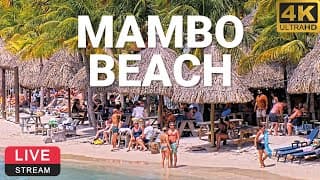 Live webcam: Mambo Beach
