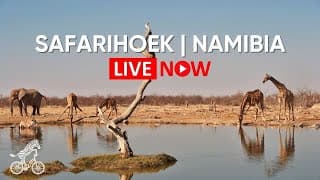 Live webcam: Safarihoek Lodge Waterhole