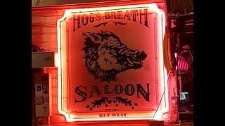 Live webcam: Hogs Breath Saloon
